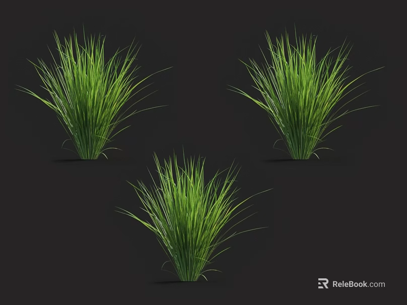 Three Lush Green Grass Plants Displayed on Black Background with Fresh Leaves 3d model 