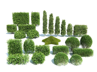 Variety of Well Trimmed Shrubs in Square Round Cone and Spherical Shapes for Landscaping 3d model