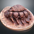 Brown Textured Trilobite Fossil Replica With Oval Base And Engraved Text