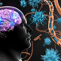 Advanced Neural Imaging Medical Device For Brain And Microbial Tract Analysis