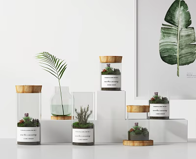 Decorative Bonsai Plants in Glass Containers with Wooden Lids on White Stands 3d model