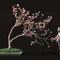 Bonsai Plant With Pink Blossoms And Elegant Branches In Decorative Square Pot With Stone Statue