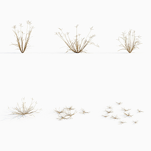 modern grass dragon claw grass plants 3d model