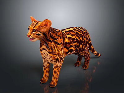 Realistic Spotted Wild Cat With Orange Black Fur Standing On Gray Background 3d model