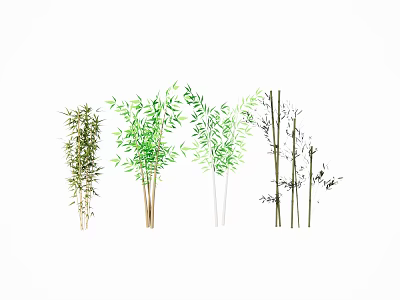 Different Types Of Bamboo Plants With Green Foliage And Varied Heights For Decoration 3d model