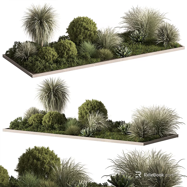 Bonsai Potted Plants in Rectangular Trays with Various Green Shrubs Grasses and Succulents 3d model 