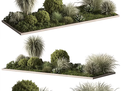 Bonsai Potted Plants in Rectangular Trays with Various Green Shrubs Grasses and Succulents 3d model