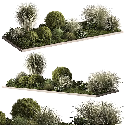 Bonsai Potted Plants in Rectangular Trays with Various Green Shrubs Grasses and Succulents 3d model