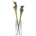Transparent Striped Vases With Unique Pink Green White Decorative Flower Arrangement