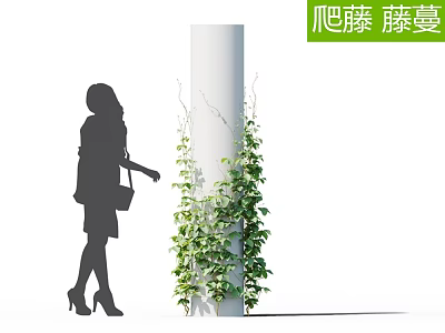 Green Climbing Vines Decorating White Column with Female Silhouette in Outdoor Scene 3d model