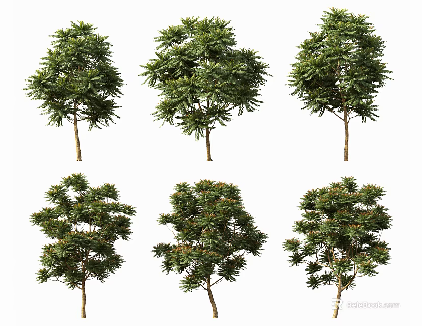 Various Isolated Ornamental Arbor Trees With Green Foliage And Different Crown Shapes 3d model 