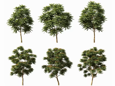 Various Isolated Ornamental Arbor Trees With Green Foliage And Different Crown Shapes 3d model