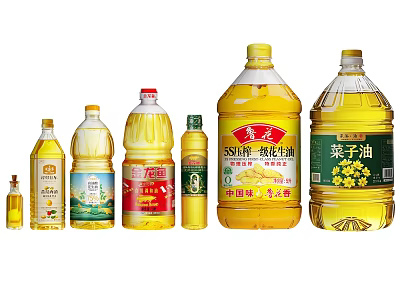 Various Cooking Oil Bottles with Different Sizes and Brands for Household Kitchen Storage 3d model