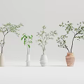 Four Modern Vases With Green Foliage In Diverse Shapes On Minimalist White Background