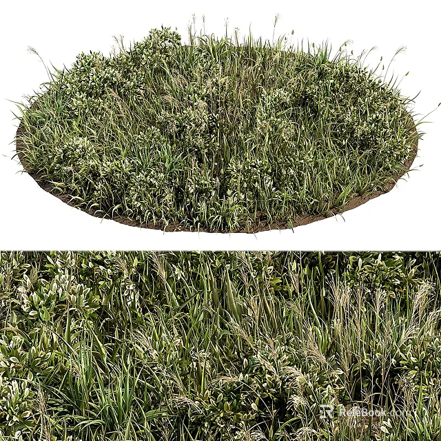 Lush Green Grass And White Flowers In Garden With Various Plants 3d model 