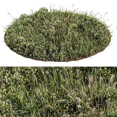 Modern Grassland Grassland Lawn 3d model Modern Grassland Grassland Lawn 3d model