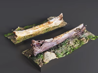 Natural Wood Logs And Stone Elements With Mossy Base Decorative 3d model
