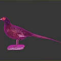 Vibrant Pheasant With Red Head Purple Body Long Tail On White Base Dark Background
