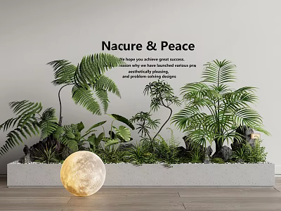 Bonsai Potted Plants With Green Ferns Palms Stones And Glowing Light In White Rectangular Planter 3d model