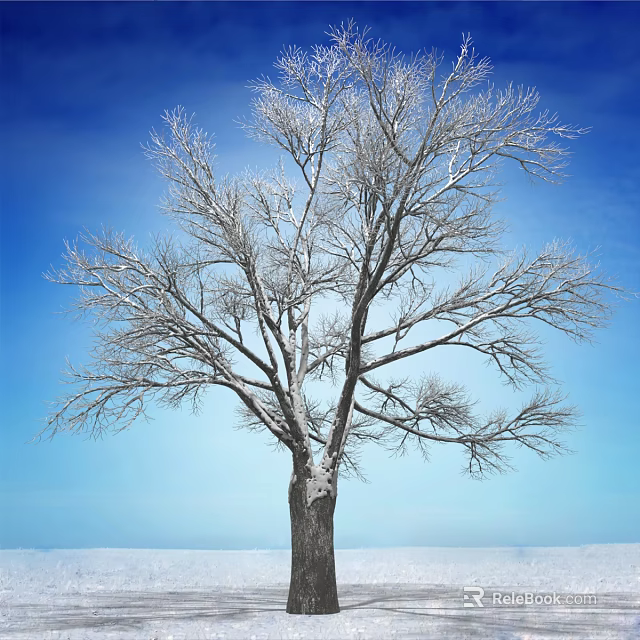 Snow Covered Leafless Tree With Bare Branches Against Clear Blue Sky 3d model 