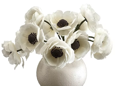 White Anemone Flowers With Dark Centers In Textured Light Colored Vase 3d model