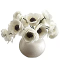 White Anemone Flowers With Dark Centers In Textured Light Colored Vase