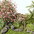 Vibrant Garden Plant Combination with Pink Flowers Ferns Greenery and Decorative Stones