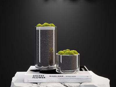 Decorative Bonsai Plants in Glass Vases with Green Moss on Stacked Books 3d model