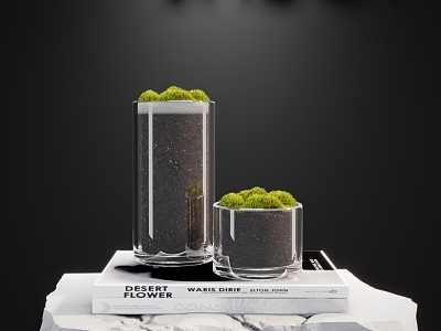 Glass moss potted combination model