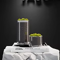 Decorative Bonsai Plants in Glass Vases with Green Moss on Stacked Books