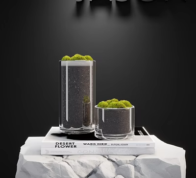 Decorative Bonsai Plants in Glass Vases with Green Moss on Stacked Books 3d model