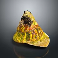 Aquatic Animal Shell Featuring Yellow Green Brown Patterns And Black Encrustations 3d model
