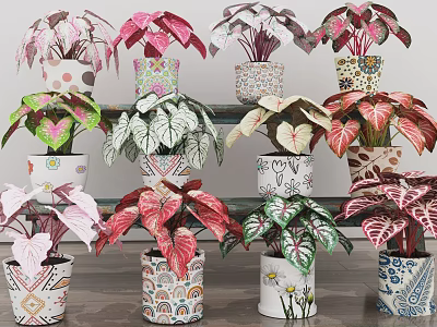 Decorative Bonsai Potted Plants With Mixed Red Pink Green Leaves In Colorful Patterned Ceramic Pots 3d model