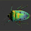 Colorful Vibrant Insect With Green Yellow Blue Body Red Legs Shiny Exoskeleton On Dark Background