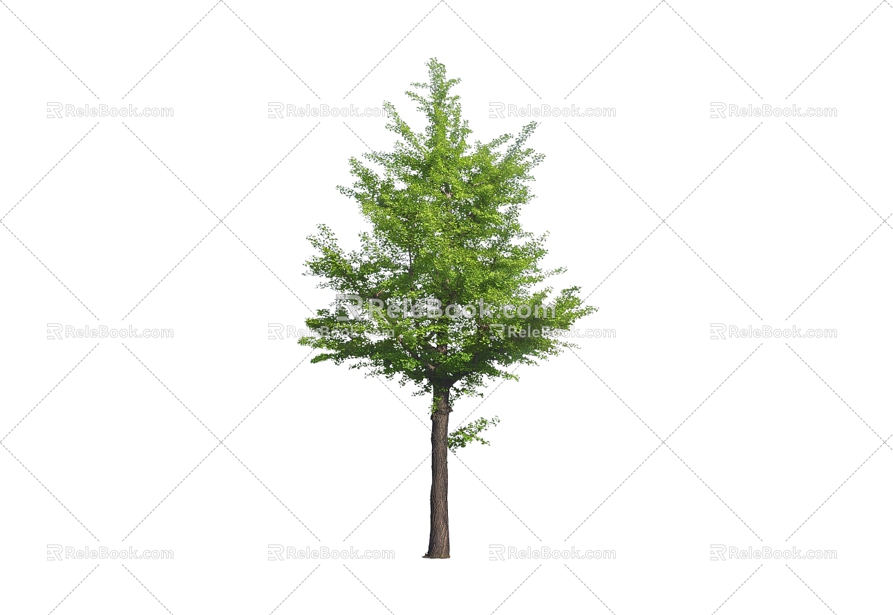 Tree 3d model