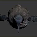 Standing Penguin With Black And White Feathers Red Facial Markings Against Gray Background