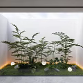 Modern Garden Nook With Bamboo Green Foliage Round Lights Stones And Ground Lighting