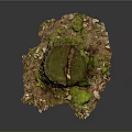 Natural Wooden Stump With Green Moss And Fallen Leaves In Forest Ground