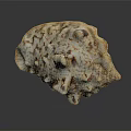 Artisan Handcrafted Shell Like Sculpture Carving With White Brown Speckled Texture Design