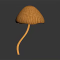 Orange Mushroom Plant With Curved Stem And Ribbed Cap On Gray Gradient Background With Reflection