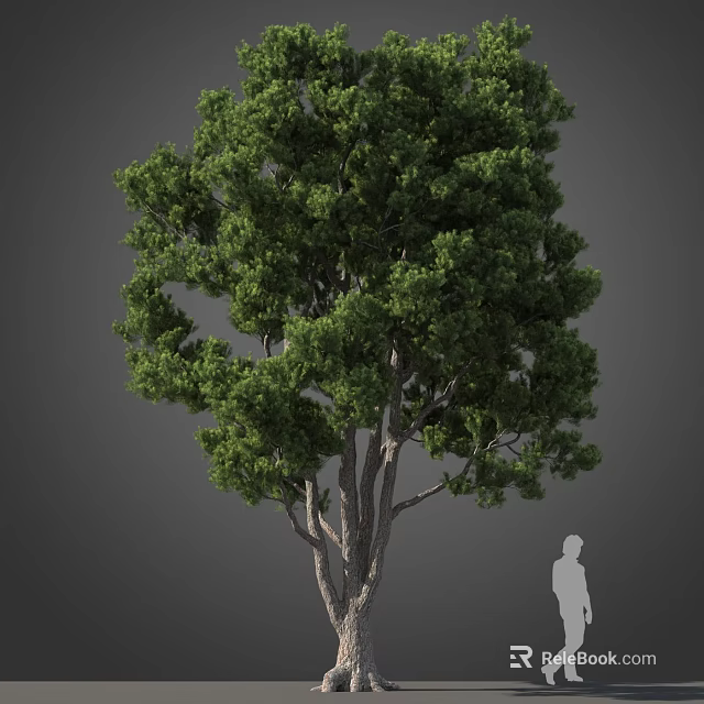 Tall Lush Green Arbor with Branched Trunk and Dense Foliage Near Human Figure 3d model 