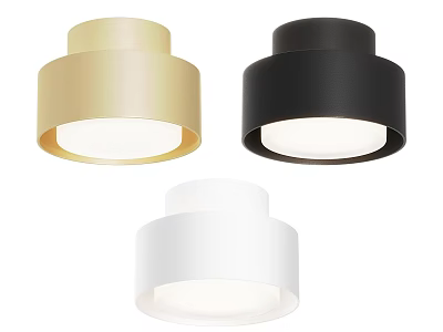 Modern Gold Black White Ceiling Downlights with Sleek Design and Bright Illumination 3d model