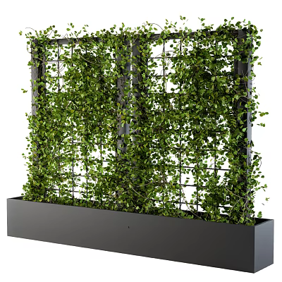 Lush Green Climbing Vines Covering Metal Trellis In Black Planter Box 3d model