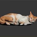 Orange and white cat lying down with reflection on dark surface 3d model