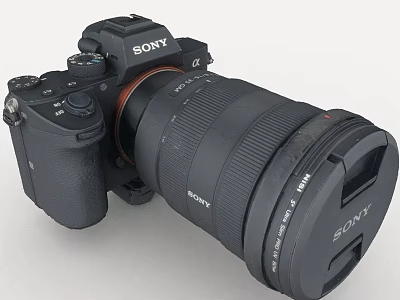 Sony Professional Digital Camera With Detachable Lens And Black Body Design 3d model