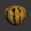 Vibrant Yellow Green Striped Speckled Pumpkin Fresh Organic Food Ingredient