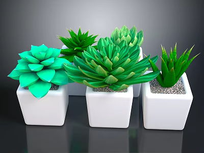 Various Green Succulent Plants in White Square Pots for Indoor Decor 3d model