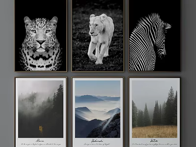 Black and White Animal Paintings Featuring Leopard Lion Zebra Portraits Framed Wall Art 3d model
