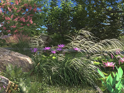 Pink Flowers and Purple Lotus in Lush Green Grass with Rocks Trees and Blue Sky 3d model
