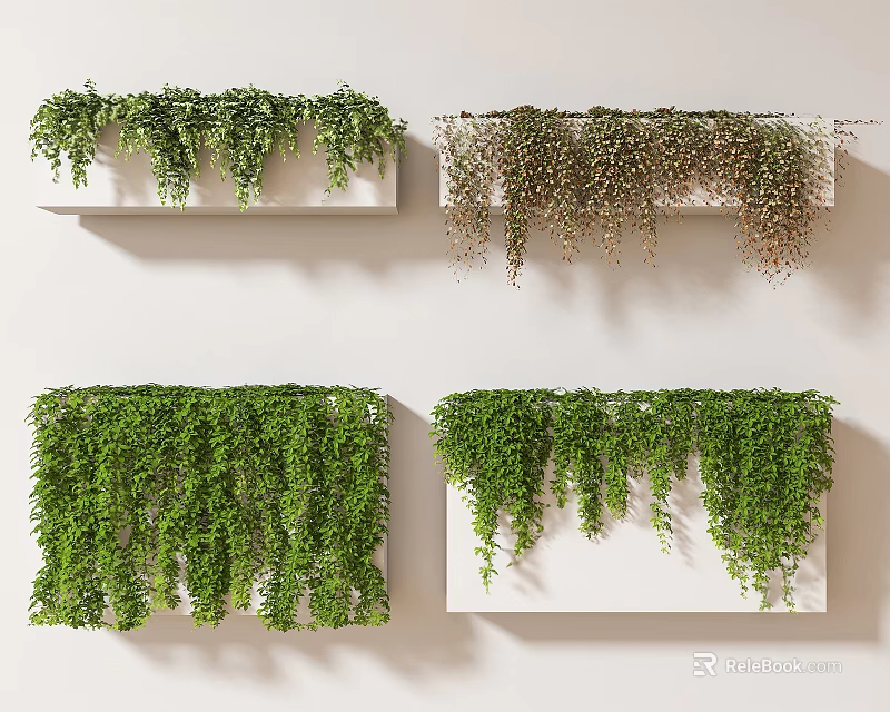 Different Varieties Of Hanging Green Vines On White Wall Mounted Shelves For Indoor Decor 3d model 
